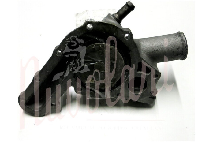 POMPA ACQUA  REVISIONATA TIPO VENTOLA PLASTICA