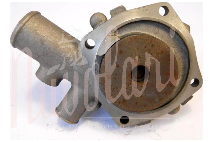 POMPA ACQUA GRAF SPICA GGT