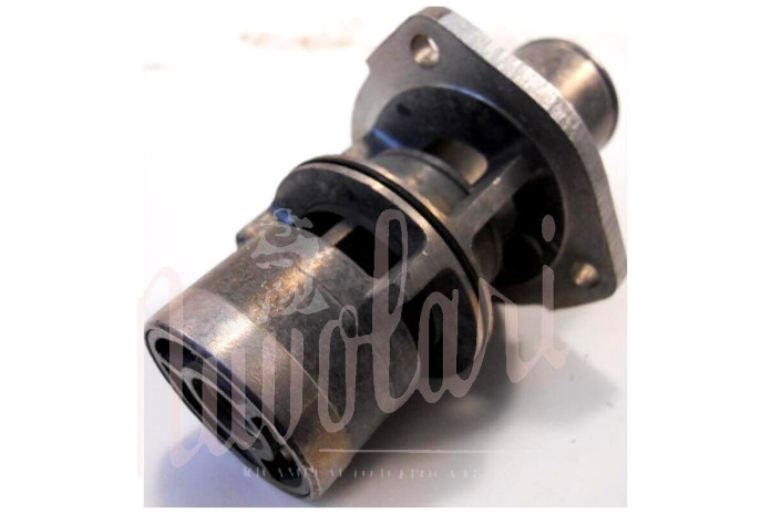 TERMOSTATO WARM 83°