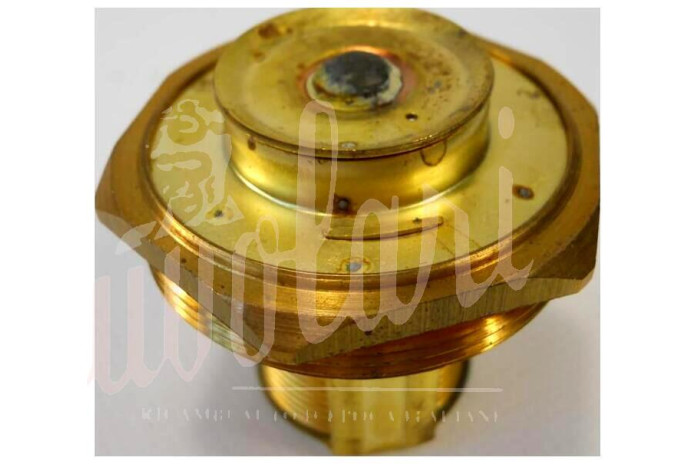 TERMOSTATO WAHLER D/46 80°