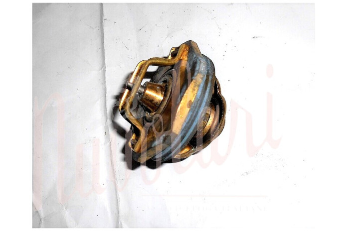 TERMOSTATO SAVARA D/46 75°