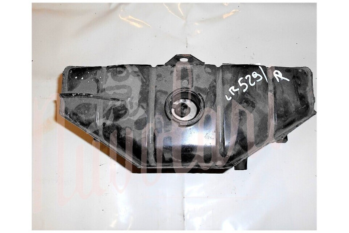 RADIATORE REVISIONATO (TAPPO IMMERSIONE A SCATTO)