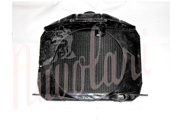 RADIATORE REVISIONATO (TAPPO IMMERSIONE A SCATTO)