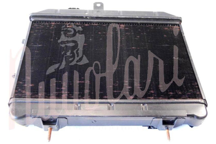 RADIATORE (CON VITI NELSUPPORTO)