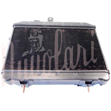 RADIATORE (CON VITI NELSUPPORTO)