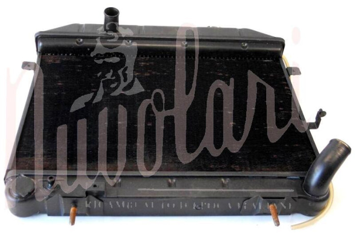 RADIATORE (CON VITI NELSUPPORTO)