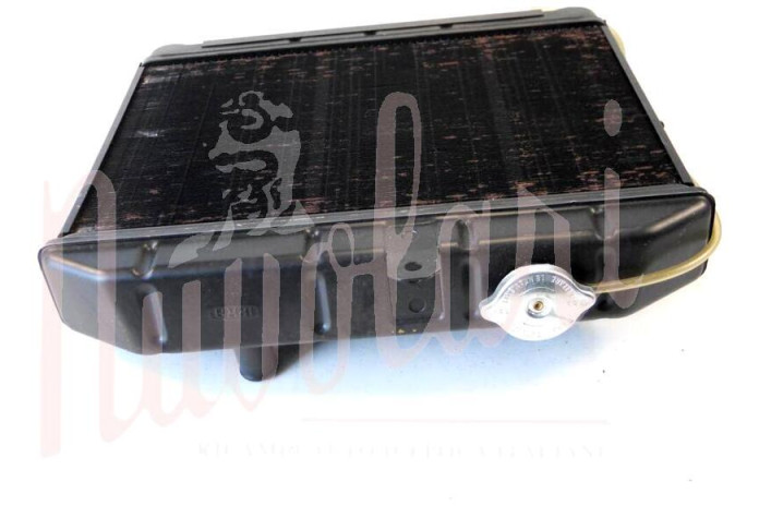 RADIATORE (CON VITI NELSUPPORTO)