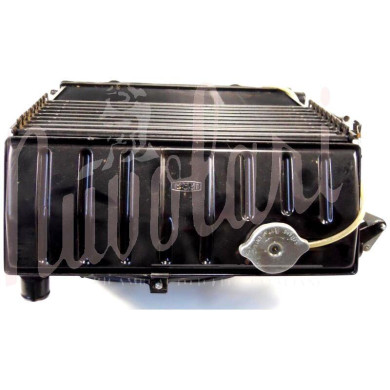 RADIATORE (COMPLETO DI PERSIANA)