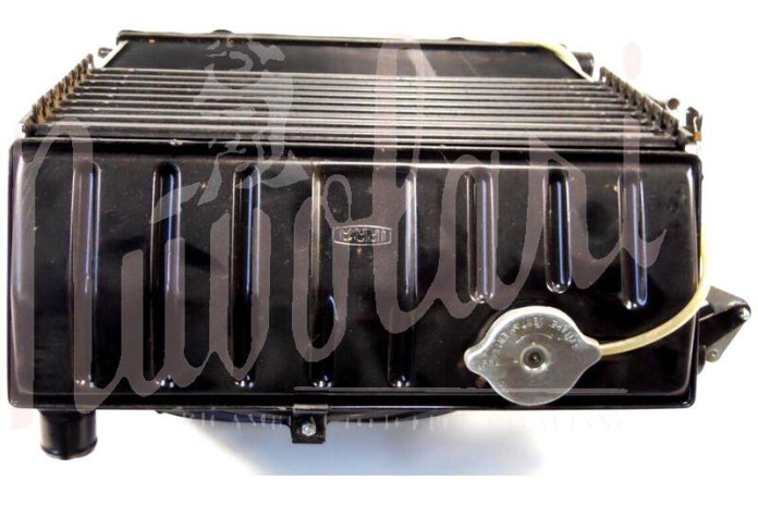 RADIATORE (COMPLETO DI PERSIANA)