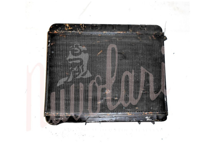 RADIATORE (TUBO SFIATO CORTO)