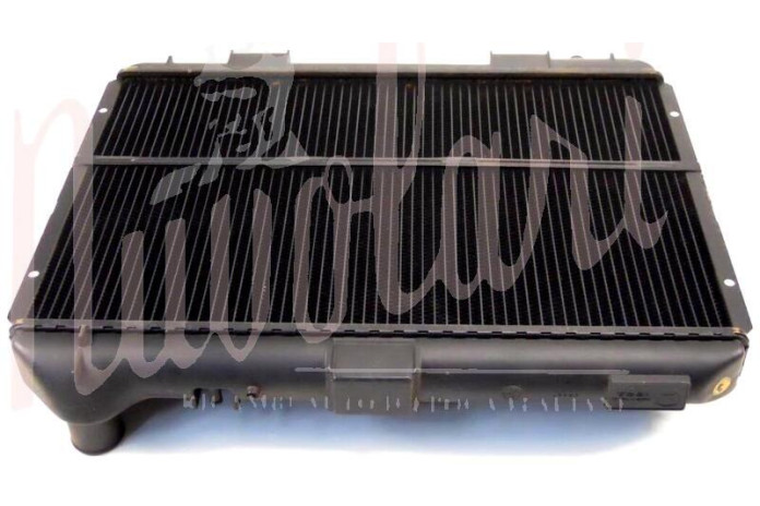 RADIATORE SPALLE IN PLASTICA