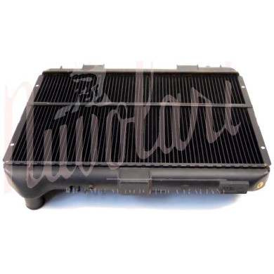 RADIATORE SPALLE IN PLASTICA