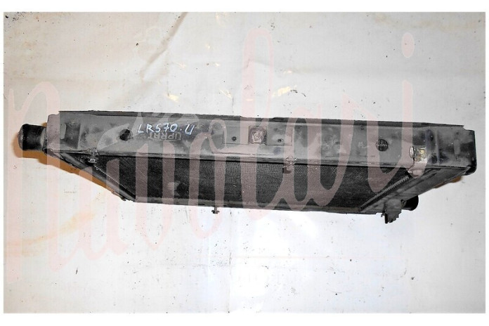 RADIATORE (BULBO ELETTROVENTOLA POSTERIORE)