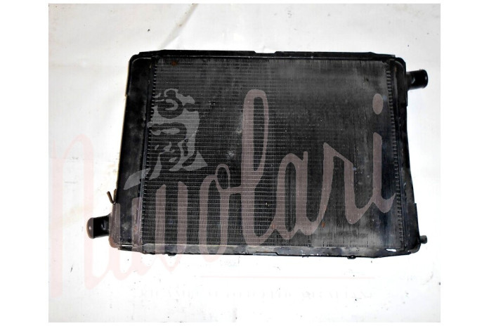 RADIATORE (BULBO ELETTROVENTOLA POSTERIORE)