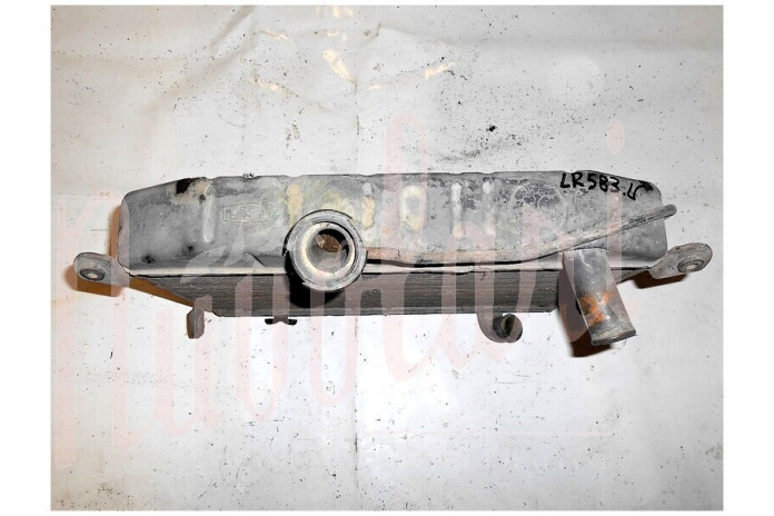 RADIATORE (DAL MOTORE N°1315.00401)