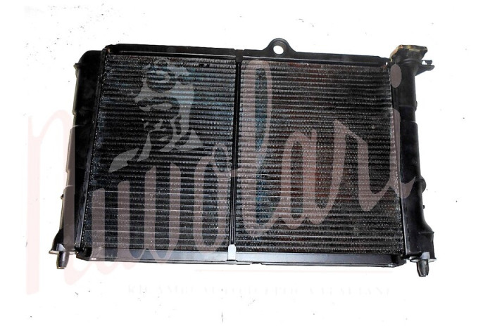 RADIATORE (MASSA RADIANTE LARGA)