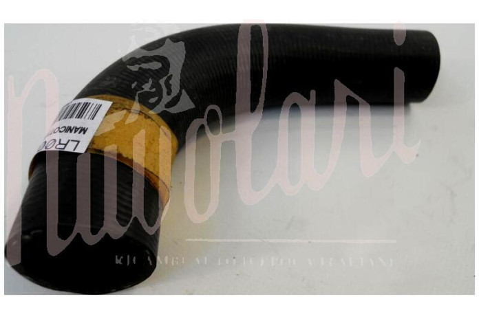 POMPA OLIO TIPO CON POMPA C IN TESTA