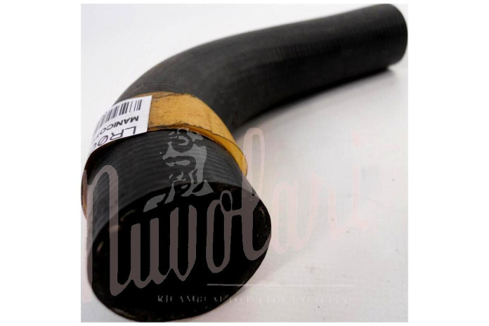 POMPA OLIO TIPO CON POMPA C IN TESTA