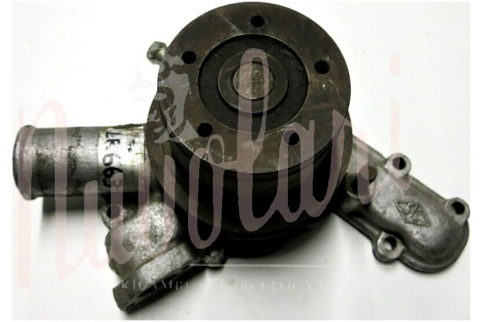 POMPA ACQUA GGT GOLA CINGHIA LARGA