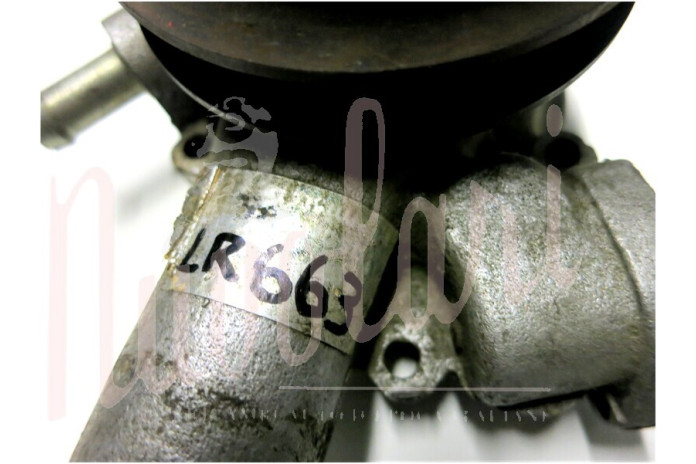 POMPA ACQUA GGT GOLA CINGHIA LARGA