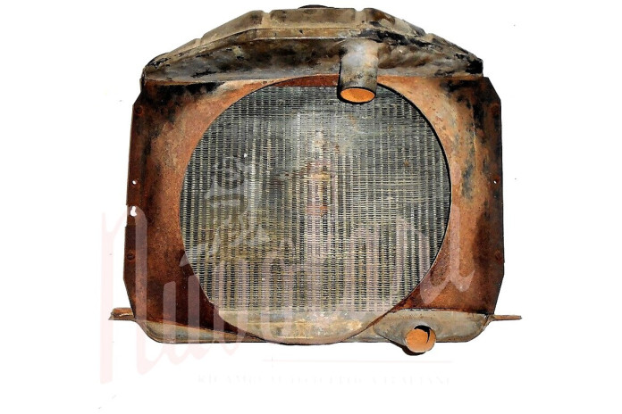 RADIATORE (TAPPO IMMERSIONE A VITE)