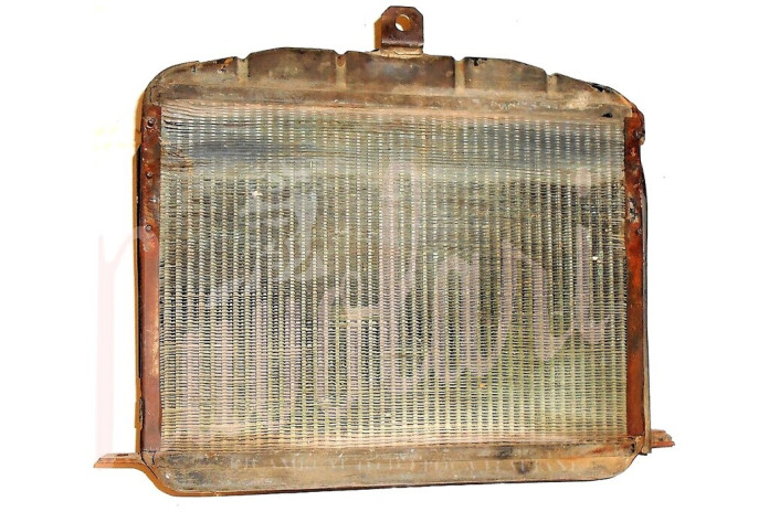 RADIATORE (TAPPO IMMERSIONE A VITE)