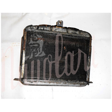 RADIATORE (TAPPO IMMERSIONE A SCATTO)