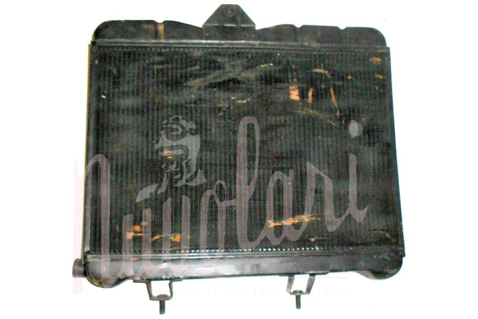 RADIATORE PIEDE ALTO