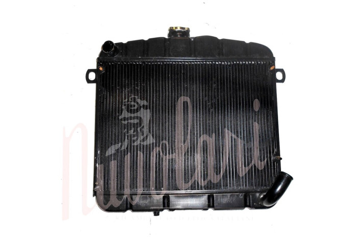 RADIATORE (TAPPO IMMERSIONE ACQUA SOPRA)