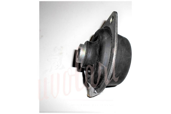 SUPPORTO MOTORE E CAMBIO H55