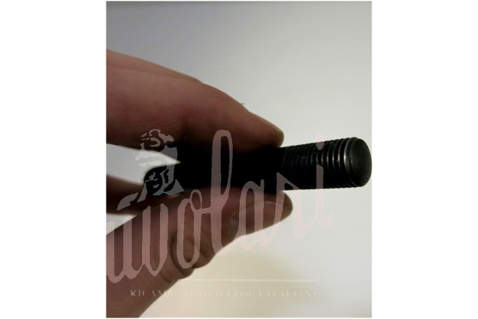 PRIGIONIERO MONOBLOCCO/TESTA CILINDRI D.12X96