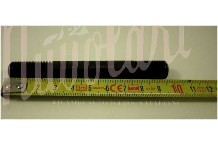 PRIGIONIERO MONOBLOCCO/TESTA CILINDRI D.12X96