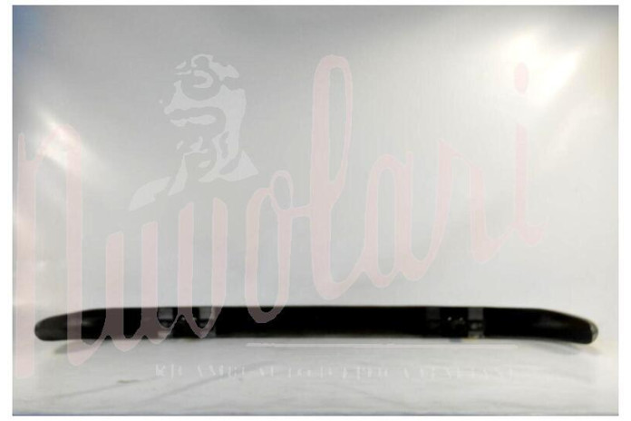 PARAURTI POSTERIORE C/ROSTRI