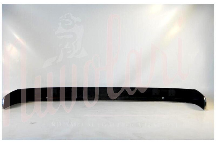 PARAURTI ANTERIORE ROSTRI SMONTATI