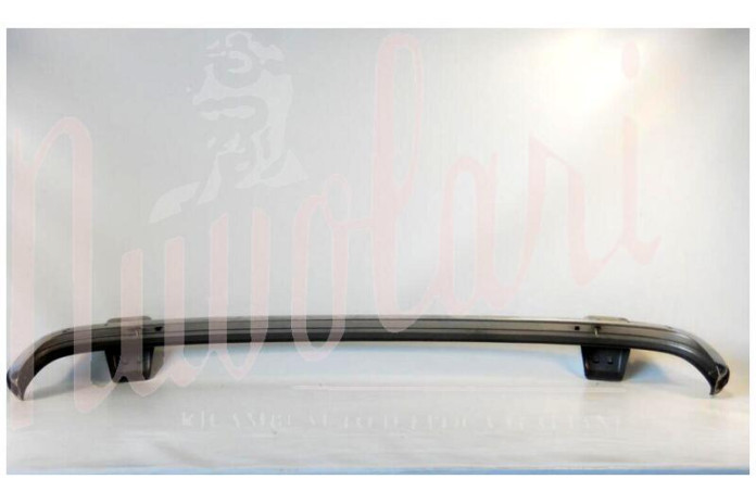 PARAURTI ANTERIORE CON ROSTRI