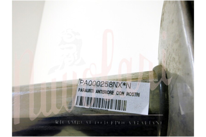 PARAURTI ANTERIORE CON ROSTRI