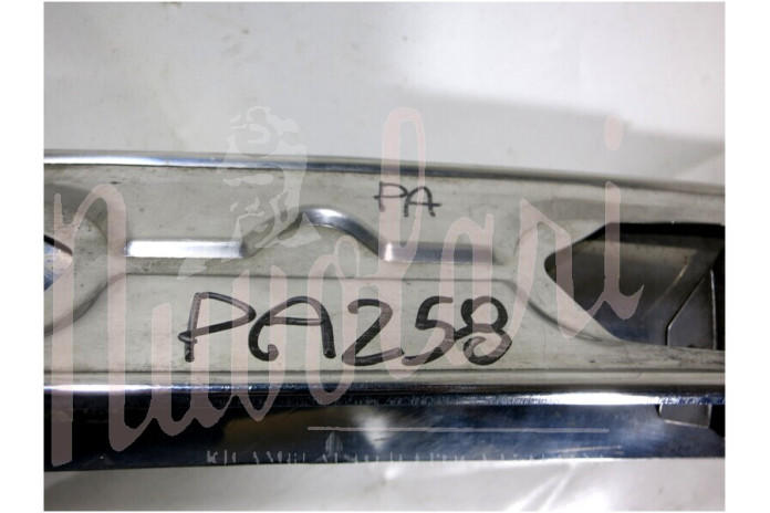 PARAURTI ANTERIORE CON ROSTRI