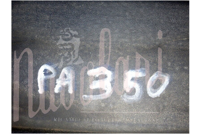 PARAURTI ANTERIORE PLASTICA TARGA GRANDE BORDO GRIGIO