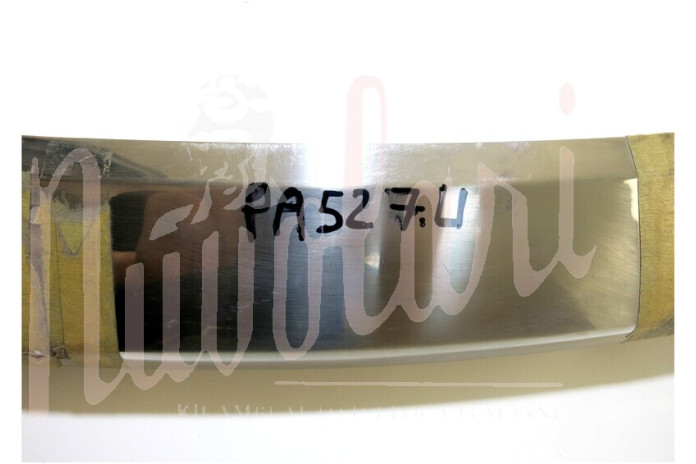 PARAURTI ANTERIORE DA COMPLETARE