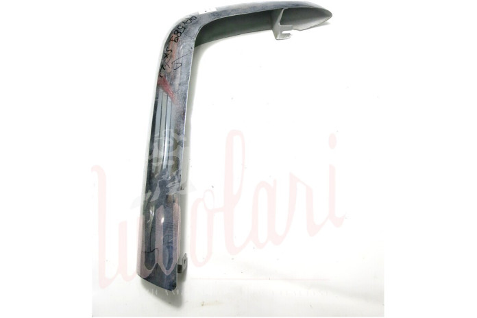 CANTONALE POSTERIORE