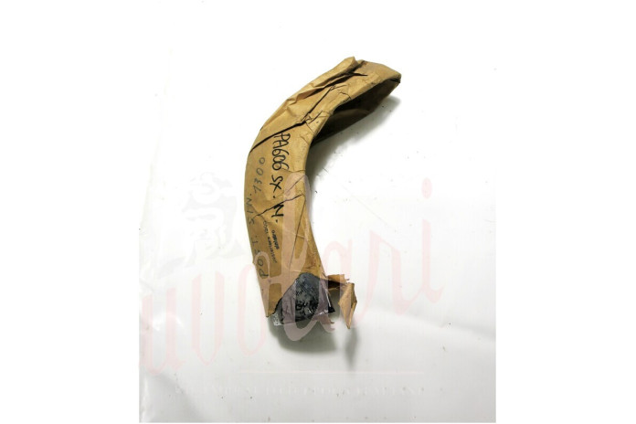 CANTONALE POSTERIORE