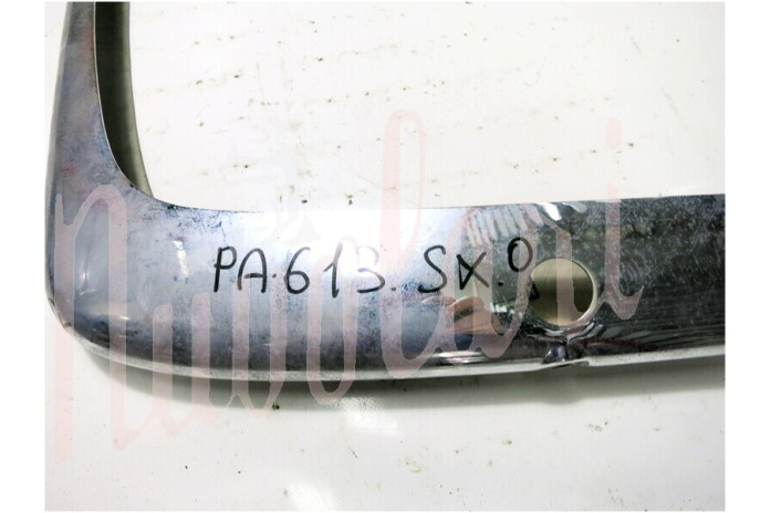 CANTONALE POSTERIORE C/FANALINO TARGA