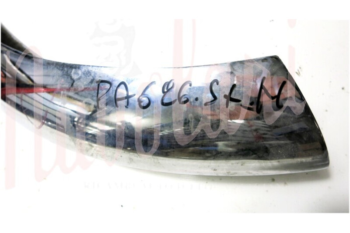 CANTONALE POSTERIORE