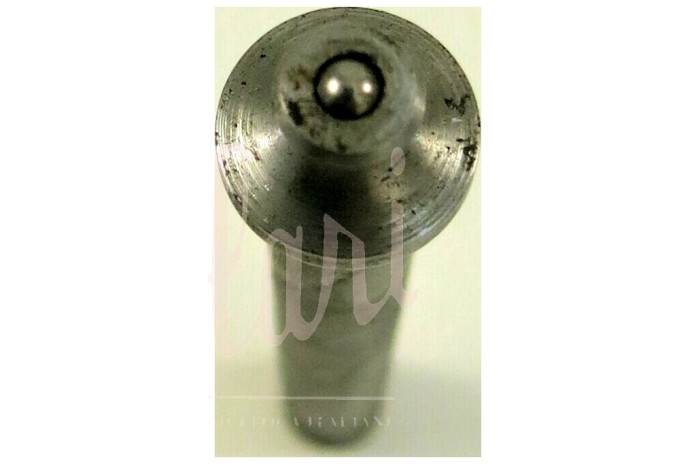 PERNO PER CERNIERA PORTA d.8