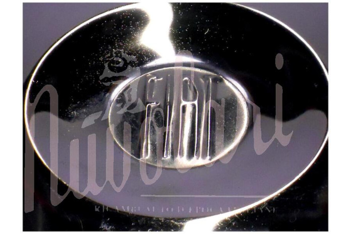 COPPA RUOTA CROMATA - WHEEL COVER