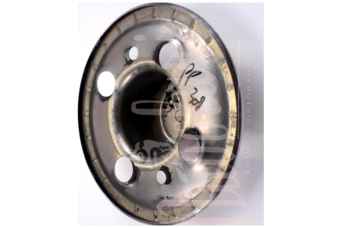 COPPETTA RUOTA INOX CANE SOTTO VITI