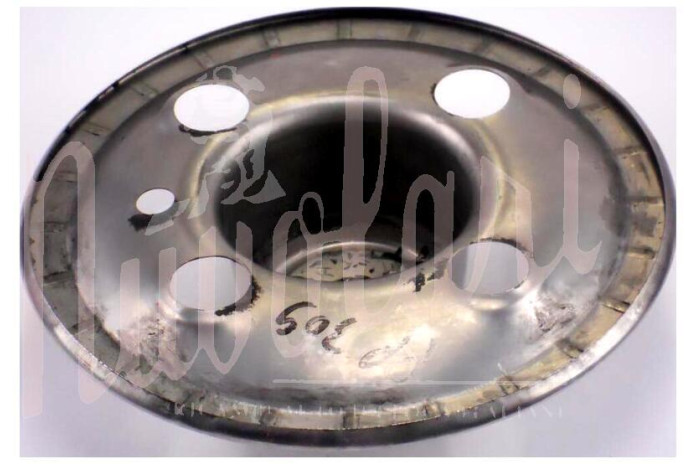 COPPETTA RUOTA INOX CANE SOTTO VITI