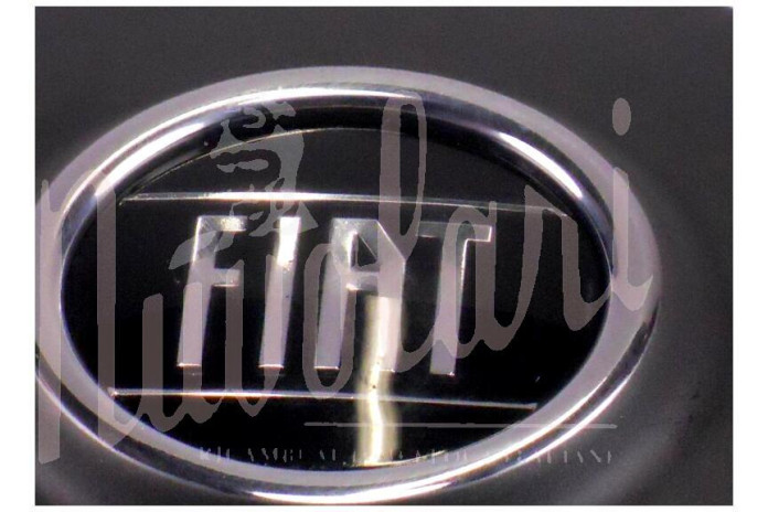 COPPETTA RUOTA INOX VERNICIATA