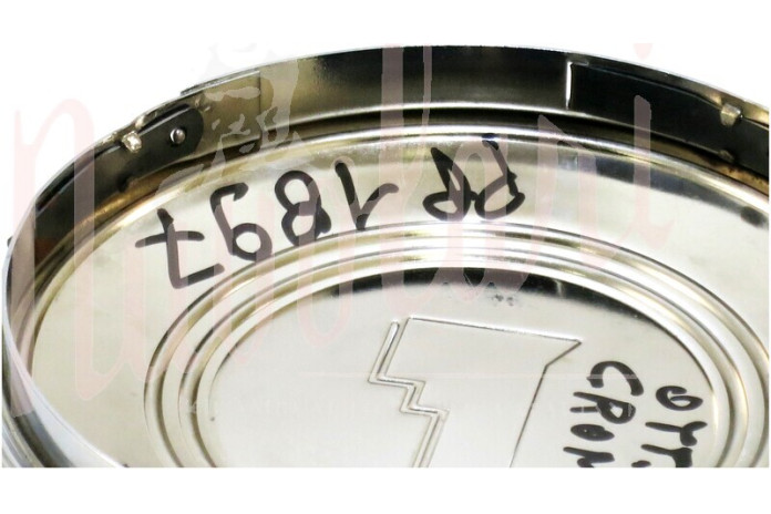 COPPA RUOTA CROMATA CERCHIO A RAGGI