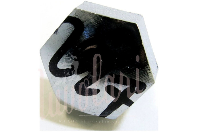 VITE ALTA CROMATA COPPARUOTA